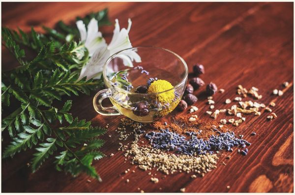 Les bienfaits du naturopathie pour votre santé globale